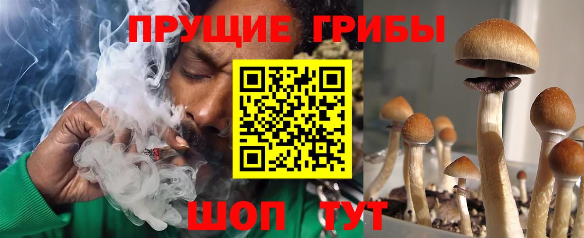 Псилоцибиновые грибы MAGIC MUSHROOMS  наркошоп  Галлюциногенные грибы Psilocybe  Реж  Вход с VPN 
