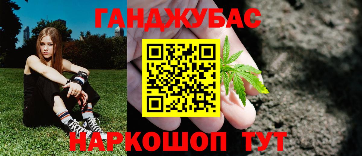 Конопля Amnesia Реж